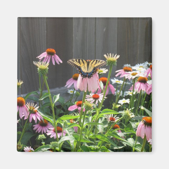 Imán Flores de mariposa y cono (Frente)