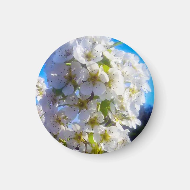 Imán Flores de oído (Frente)
