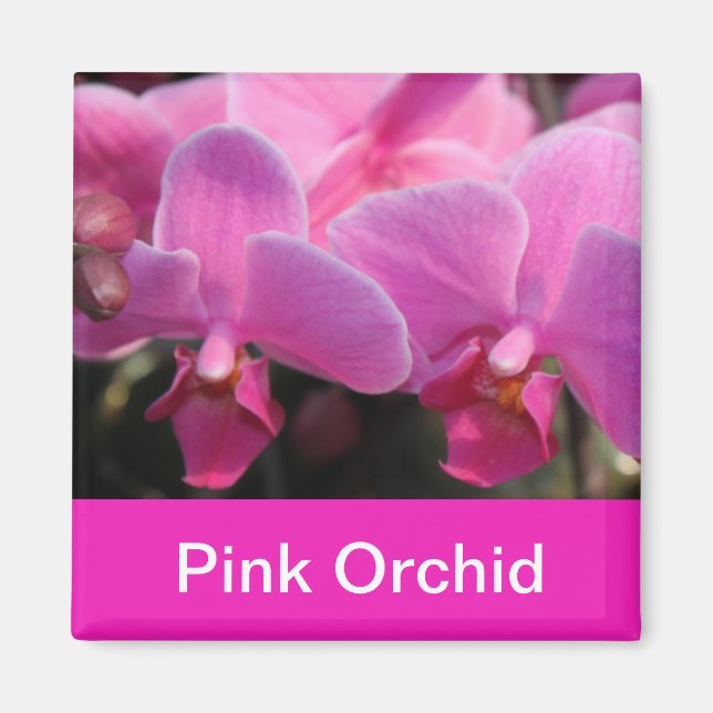 Imán flores de orquídea rosadas (Frente)