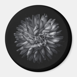 Imán Flores De Patio Trasero En Blanco Y Negro 20