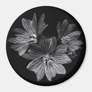 Imán Flores De Patio Trasero En Blanco Y Negro No 11