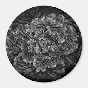 Imán Flores De Patio Trasero En Blanco Y Negro No 42
