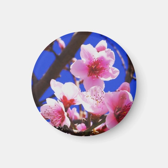 Imán Flores de primavera (Frente)