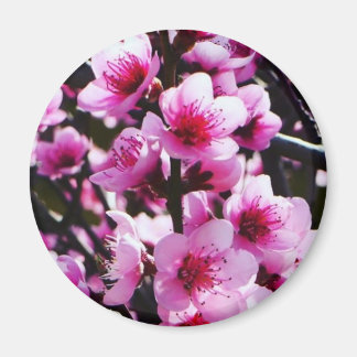 Imán Flores de primavera