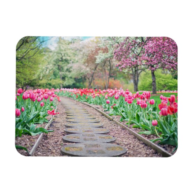 Imán Flores de primavera a lo largo de Stone Walkway (Horizontal)