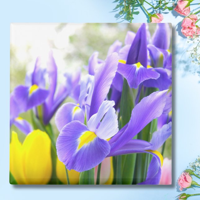 Imán Flores De Primavera De Irises Y Tulipanes (Subido por el creador)