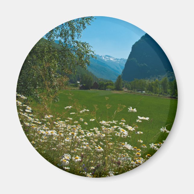 Imán Flores de primavera de Noruega (Frente)