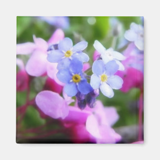 Imán Flores De Primavera Rosa Y Azul
