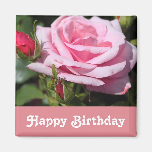 Imán flores de rosa rosa feliz cumpleaños. con amor, no (Frente)