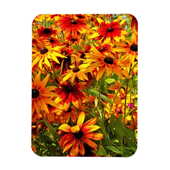IMÁN FLORES DE RUDBECKIA (Vertical)