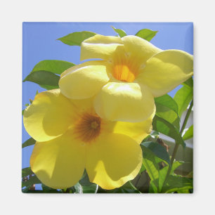 Imán Flores de trompeta doradas I