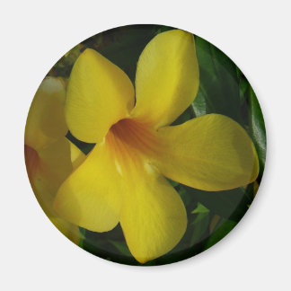 Imán Flores de trompeta doradas II tropicales