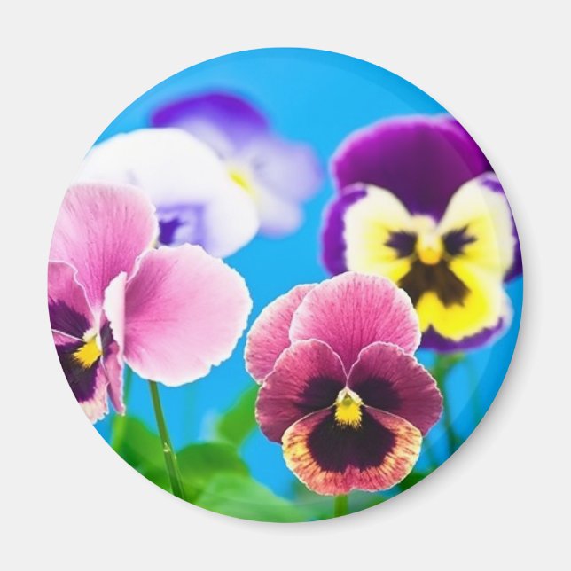 Imán Flores de viola Magnet (Frente)