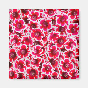 Imán Flores de Weigela Florida