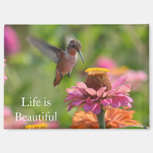 Imán Flores de Zinnia Rosa Colibrí (foto por mí)