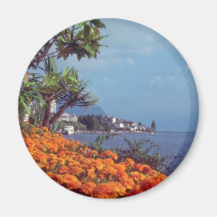 Imán Flores del lago Lemán anaranjado, Montreux, Suiza