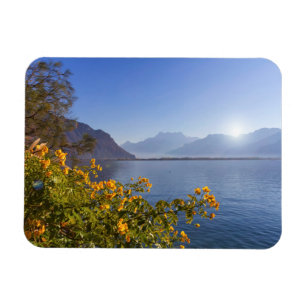 Imán Flores en el lago geneva, Montreux, Suiza