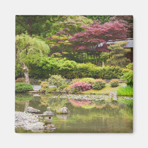 Imán Flores en flor en el Jardín Japonés,