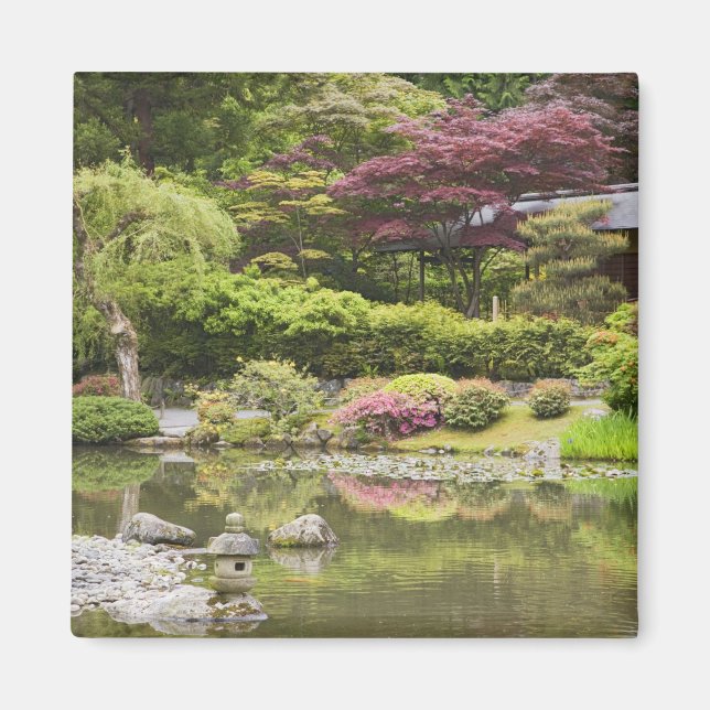 Imán Flores en flor en el Jardín Japonés, (Frente)