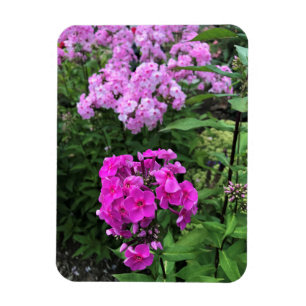 Imán Flores en la bodega Chateau Morrisette, Floyd, VA