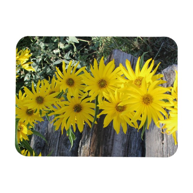 Imán Flores en mi hierbas " flores en mi hierba " (Horizontal)