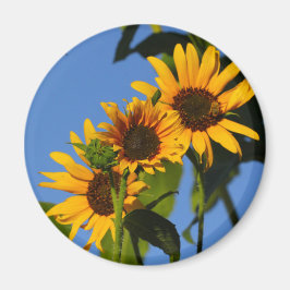 Imán Flores en mi hierbas " flores en mi hierba "