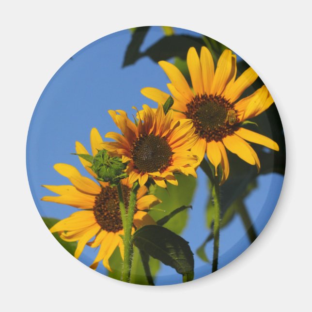 Imán Flores en mi hierbas " flores en mi hierba " (Frente)