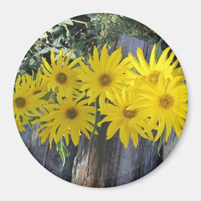 Imán Flores en mi hierbas " flores en mi hierba " (Frente)