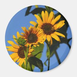 Imán Flores en mi hierbas " flores en mi hierba "