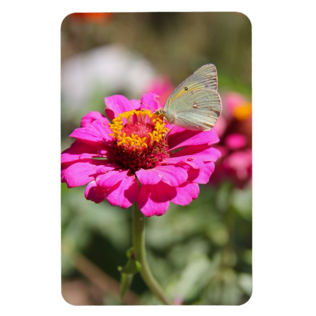 Imán Flores en mi hierbas " flores en mi hierba " (Vertical)