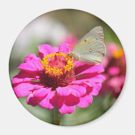 Imán Flores en mi hierbas " flores en mi hierba "