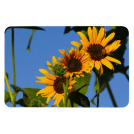 Imán Flores en mi hierbas " flores en mi hierba "