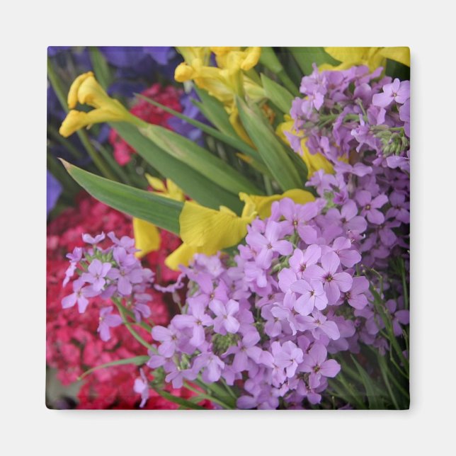 Imán Flores en múltiples colores (Frente)