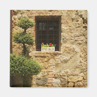 Flores en una caja de ventanas en un umbral de ven
