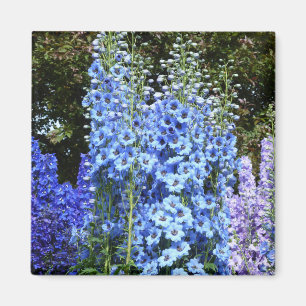 Imán Flores Florales de Delfino Azul Naturaleza del Jar