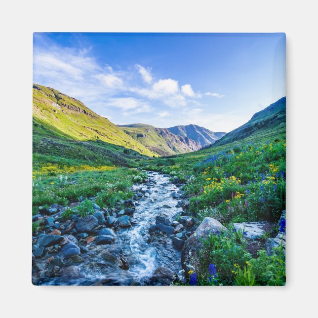 Imán Flores | Flores silvestres en Colorado (Frente)