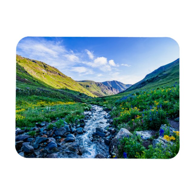 Imán Flores | Flores silvestres en Colorado (Horizontal)