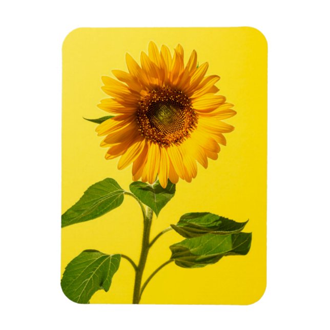 Imán Flores | Girasol amarillo (Vertical)