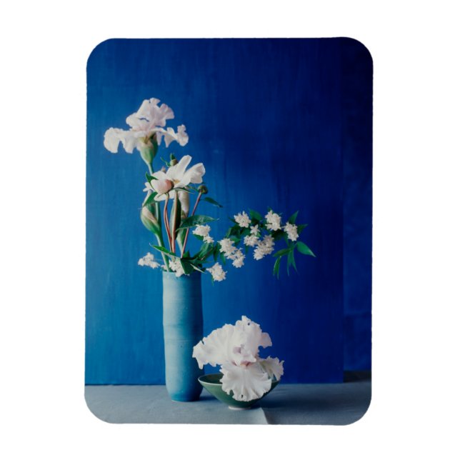 Imán Flores | Iris blanco en caja (Vertical)