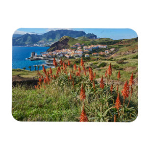 Imán Flores   Isla Madeira Portugal