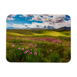 Imán Flores Montañas de Altai, Siberia, Rusia