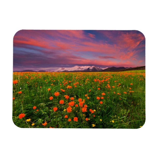 Imán Flores | Montañas de campo de flores silvestres cu (Horizontal)