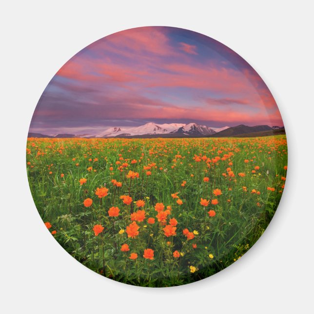 Imán Flores | Montañas de campo de flores silvestres cu (Frente)