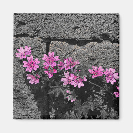 Imán Flores moradas