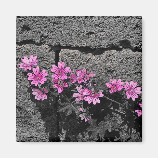 Imán Flores moradas (Frente)