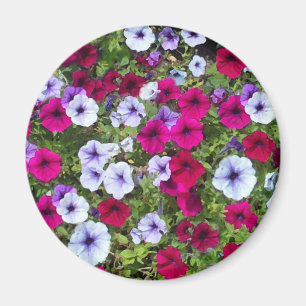 Imán Flores moradas y de lavanda: