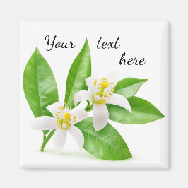 Imán Flores naranjas