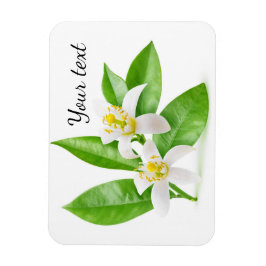 Imán Flores naranjas