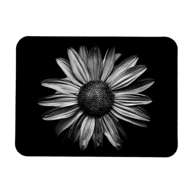 Imán Flores Negra Y Blanca 18 (Horizontal)