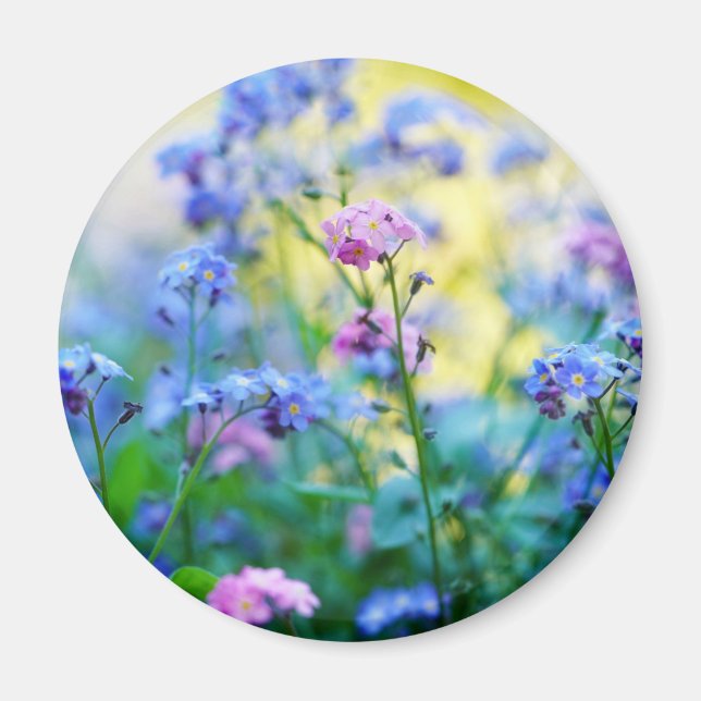 Imán Flores nomeolvides (Frente)